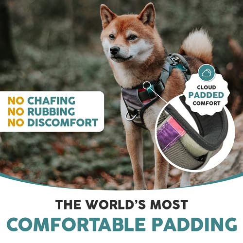 Embark No Pull Dog Harness (S / Baja)