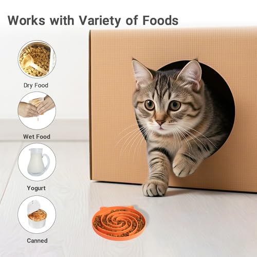 Slow Feeder Cat Bowl (Orange and Cyan)