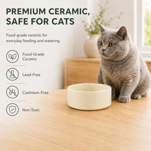 Cat Bowls Set of Two (Light Yellow)