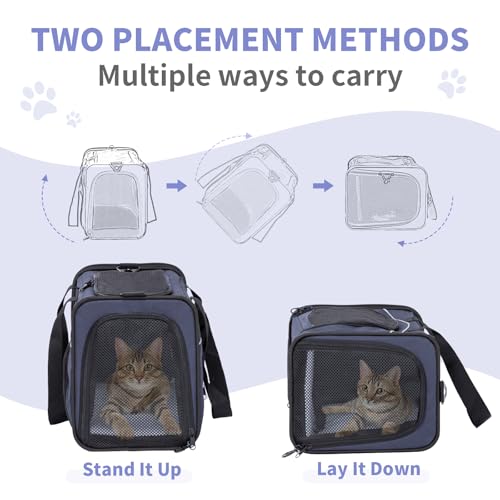 Airline Cat Carrier for Small Cats (Navy / 16.5"L x 8.6"W x 11.0"H)