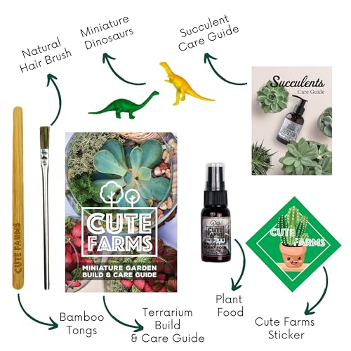 Glass Terrarium Kit (Geometric Glass + Live Plants)