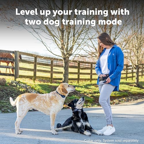 Pro Trainer Add (Extra Collar Only)