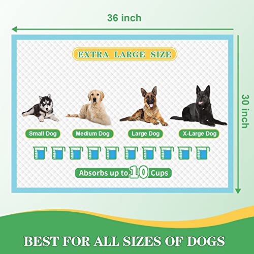 Dog Pads Extra Large 30"x36" [30 (Thickened XXL: 30"x36"-30 Ct)