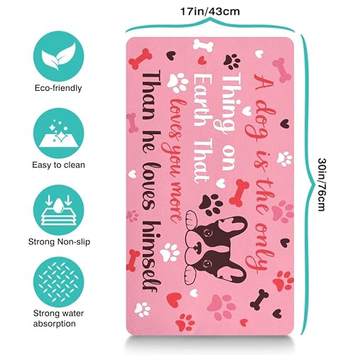 Pet Feeding Mat for Floors Waterproof Dog Mat for Food and Water Absorbent Quick Dry Non Slip mat for Cat Bowls (30"L x 17"W / Pink)