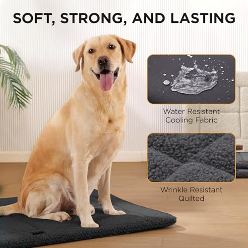 Low Profile Dog Crate Mat Reversible Bed Pad (Dark Gray)