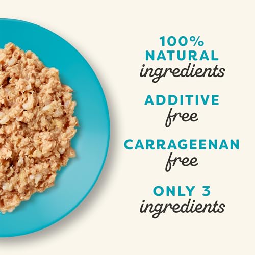 Natural Wet Kitten Food in Broth (2.47 Ounce (Pack of 24))