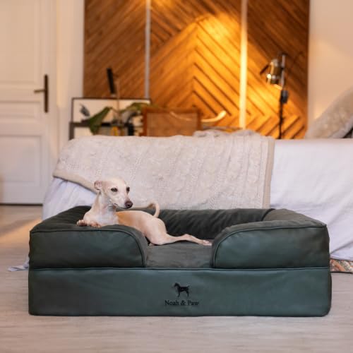 Dog Bed Orthopedic Memory Cooling Foam (Green - LE / Large)