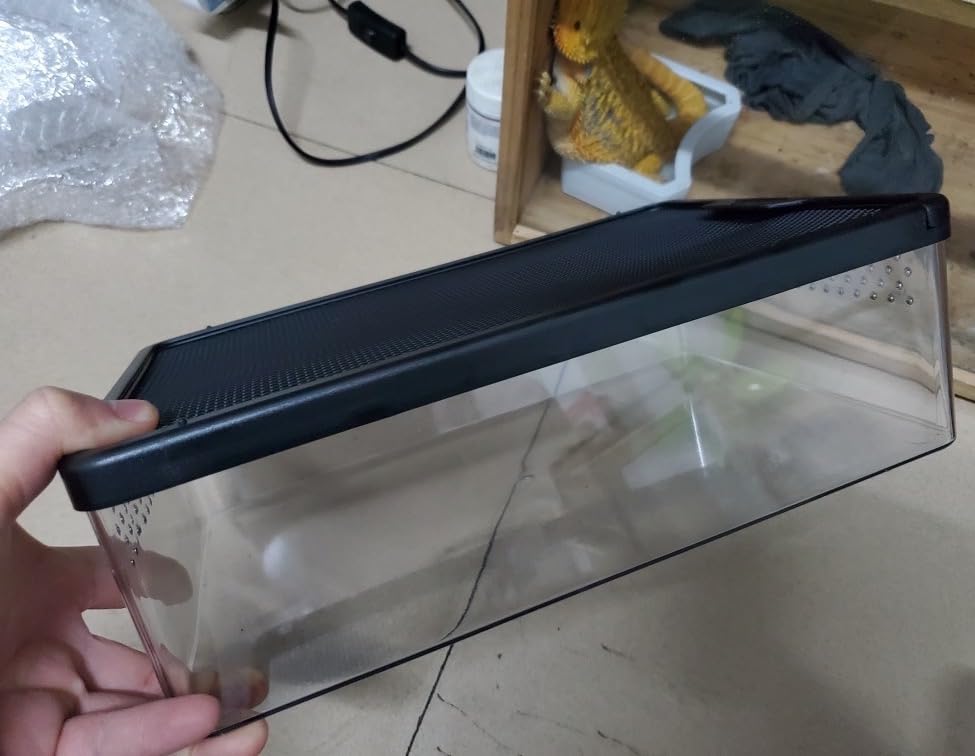 Reptile Feeding Box Clear Terrarium for Geckos
