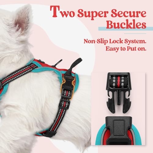 Dog Harness No Pull for Small Dogs with 2 Leash Clips (X-Small / Red & Teal)