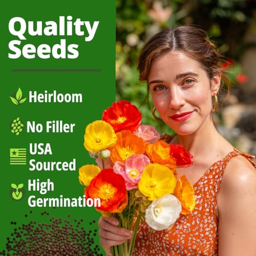 Poppy 2 200 Seeds