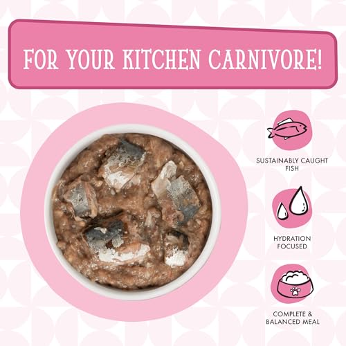 Cats in the Kitchen (3.2 Ounce (Pack of 24))