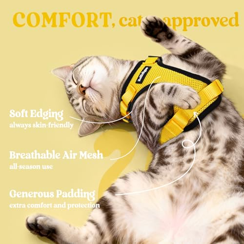 Cat Harness and Leash Set (S / Yellow)