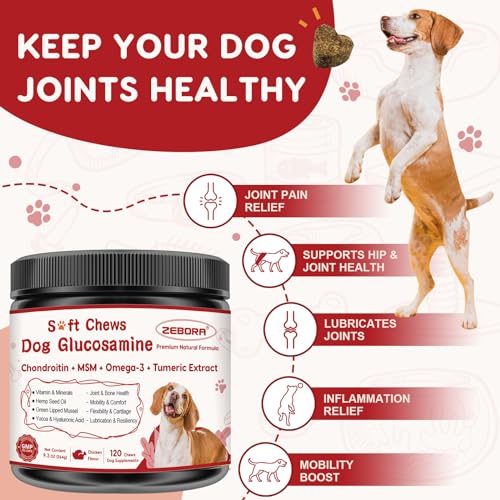Glucosamine for Dogs (120 count)