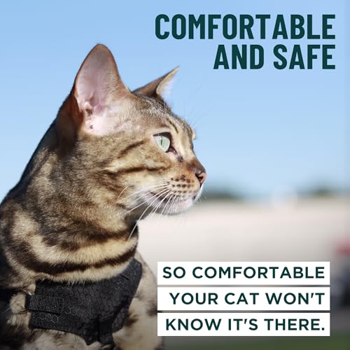 Houdini™ Escape Proof Cat Harness and Leash (Multicolor / M/L)