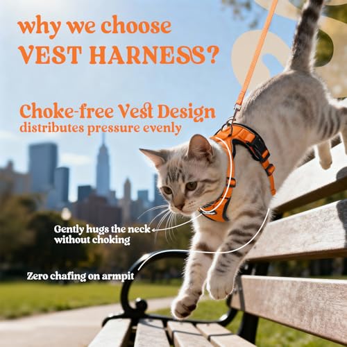 Cat Harness and Leash Set (M / Orange)