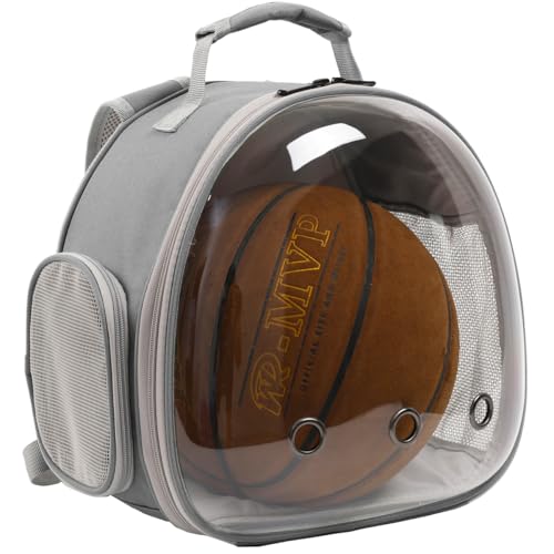 Bearded Dragon Travel Backpack with Harness and Leash Set (Gery)
