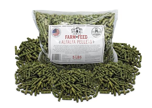 Alfalfa Hay Food
