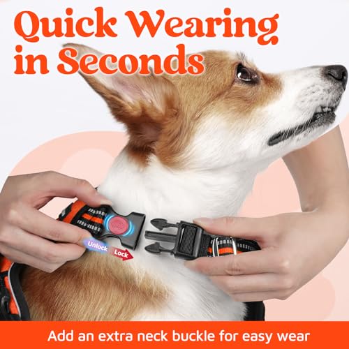 Dog Harness Medium Sized (Orange / Medium)