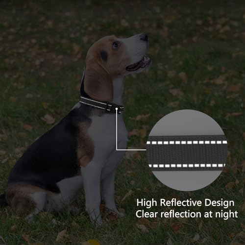 Reflective Dog Collar (Black / L:width 1"neck 17.5-27")