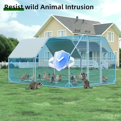 Metal Chicken Coop (149.5"L x 110.3"W x 76.8"H)