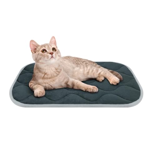 Dog Bed Mat Crate Pad (22.0"L x 13.0"W x 0.7"Th / Grey Mat)