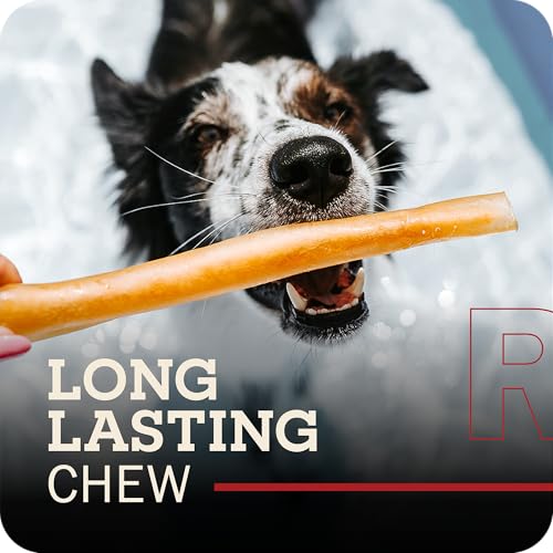 Redbarn Small Collagen Sticks 100% Natural Beef Dog Chew (Small / 1 Count (Pack of 5))