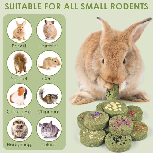 Treats Rabbit Toys (10 Count (Pack of 1))