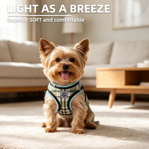 Dog Harness Collar and Leash Set No Pull for Small Medium Sized (Yellow Green / M (CHEST 16"-18"))