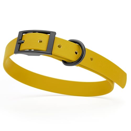 Biothane Waterproof Dog Collar Strong Coated Nylon Webbing with Black Hardware Odor