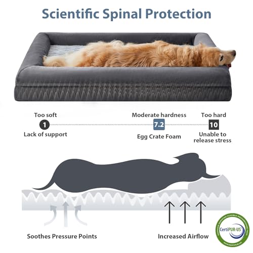 Giant Dog Bed Orthopedic for Senior Dog Bed Comfy Sleeping (Dark Gery / XXXX-L (61x43x7.5in))