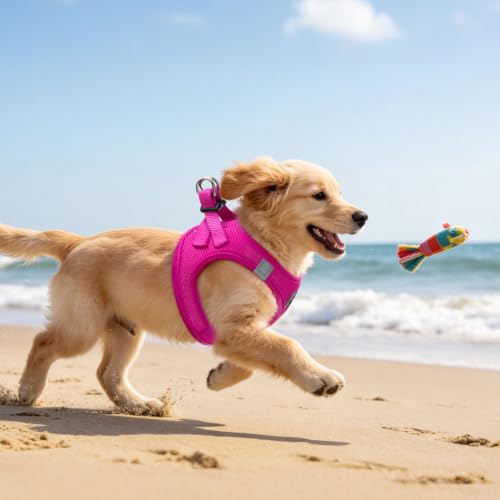 Dog Harness Collar and Leash Set No Pull for Small Medium Sized (Solid DeepPink / M (CHEST 16"-18"))