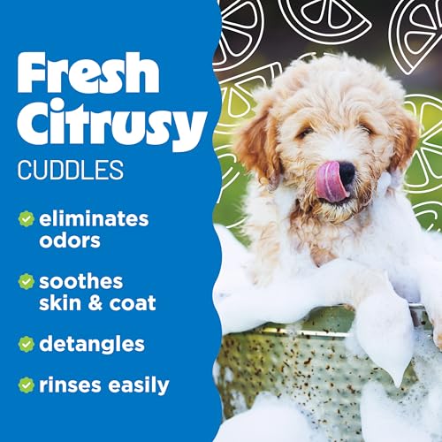 Deshedding Dog Conditioner (2.5 Gallon (Pack of 1))