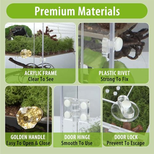 Large Jumping Spider Enclosure (Large-12''x8''x8'')
