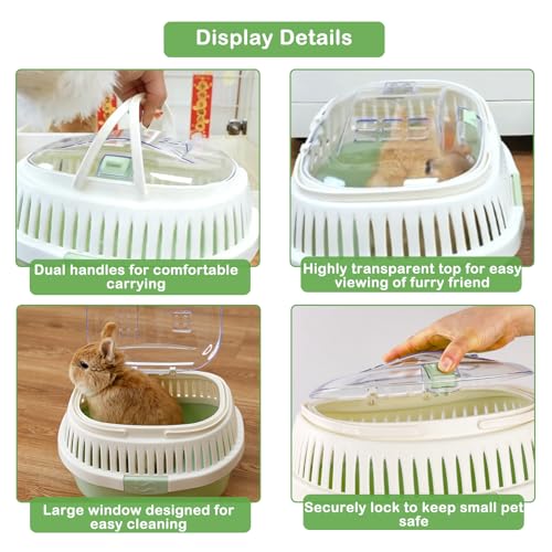 Hamster Carrier Portable Guinea Pig Carrier 13 X 11 X 8 in (Green)