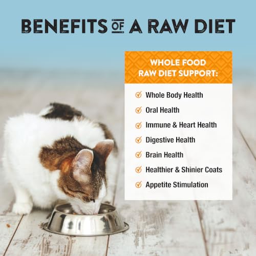 Freeze Dried Duck Cat & Kitten Food (11 Ounce (Pack of 1))