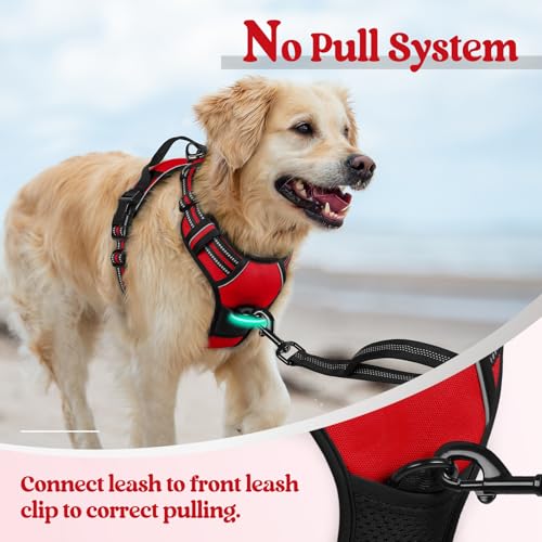 Dog Harness No Pull Medium Sized with 2 Leash Clips (Medium / Red)