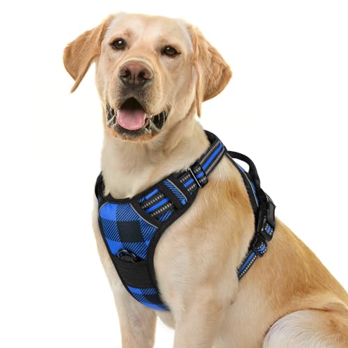 Dog Harness No Pull for Large Dogs with 2 Leash Clips (Large / Blue Plaid)