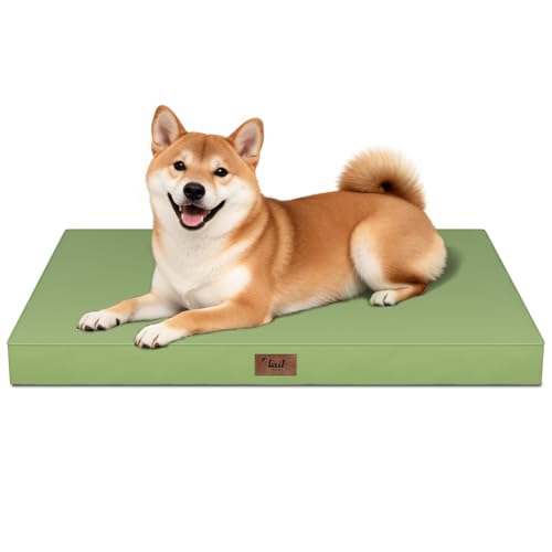 Outdoor Waterproof Orthopedic Dog Bed for Medium Size Dogs (Light Green / 35.0"L x 22.0"W x 3.0"Th)