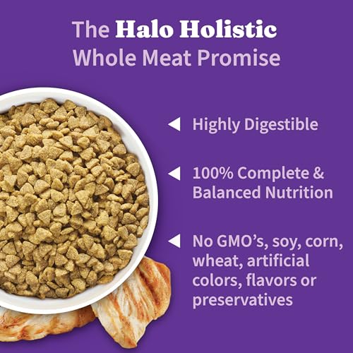 Holistic Dry Cat Food