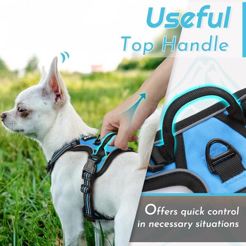 Dog Harness for Small Dogs (X-Small / Sky Blue)