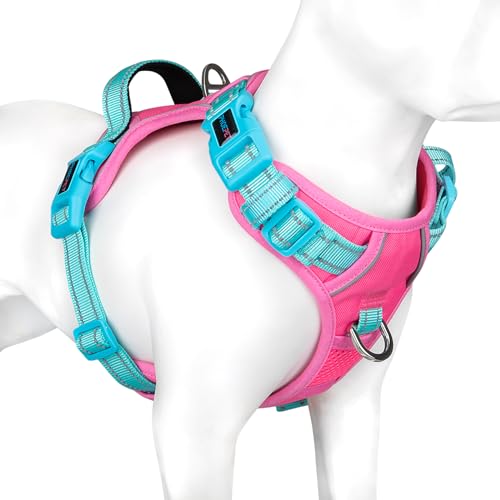 No Pull Dog Harness (Pink Base & Green Straps / Large)