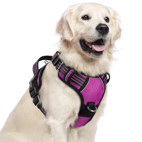 Dog Harness for Large (Purple / X-Large)
