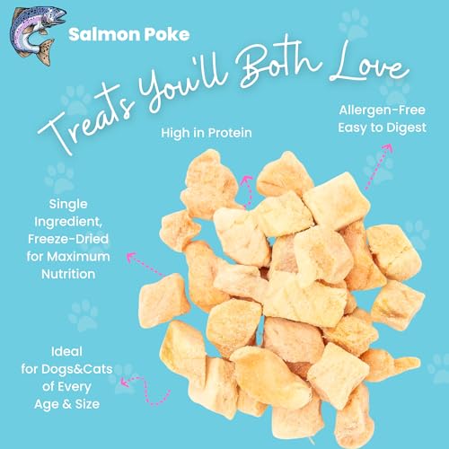 Freeze Dried Salmon Treats for Cats & Dogs