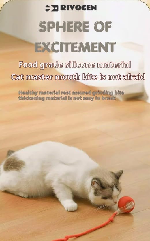 Indoor Cat Interactive Toy 360 (Green)