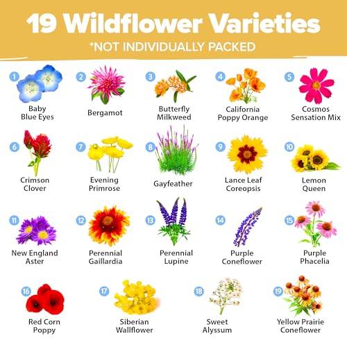19 Wildflower Variety Mix 89
