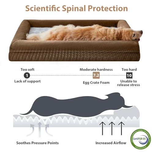 XXXL Big Large Orthopedic for Senior Dog Bed Comfy Sleeping (Brown / XXX-L (53x43x7.5in))