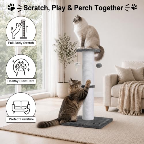 34 Inch Tall Cat Scratching Post for Large Cats (Gray)