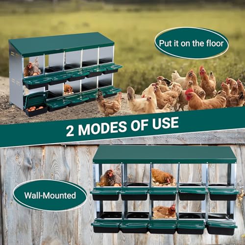 Chicken Nesting Box (Green- 10 compartment)