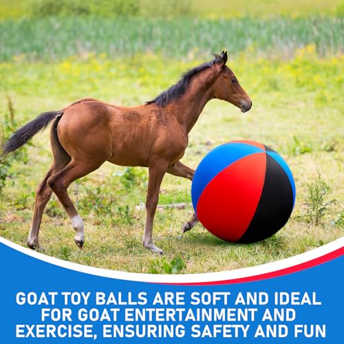 Giant 30 Inch Herding Balls with Ball Cover (Blue / 30 Inch / Cute)