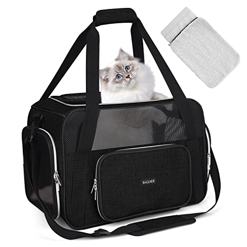Pet Travel Carrier (Black)